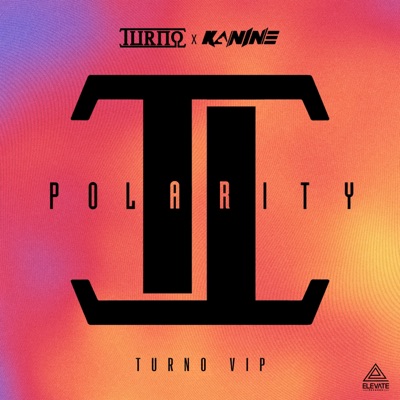 Polarity (VIP) [feat. Kanine] - Single