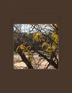 Poslechněte si interpreta MoPlayItBack, sledujte hudební videa, přečtěte si životopis, podívejte se na data turné a další informace.