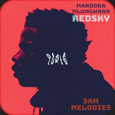 3Am Melodies (feat. Manqoba Mlungwana & RedSky) - Single