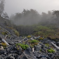 Coastal Fog - Single - Hydrologic