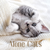Relax - Cats Music Zone