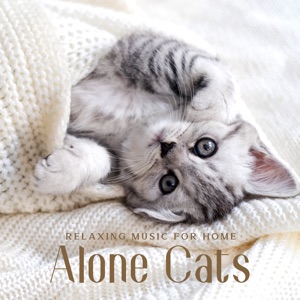 Relaxing Music for Home Alone Cats