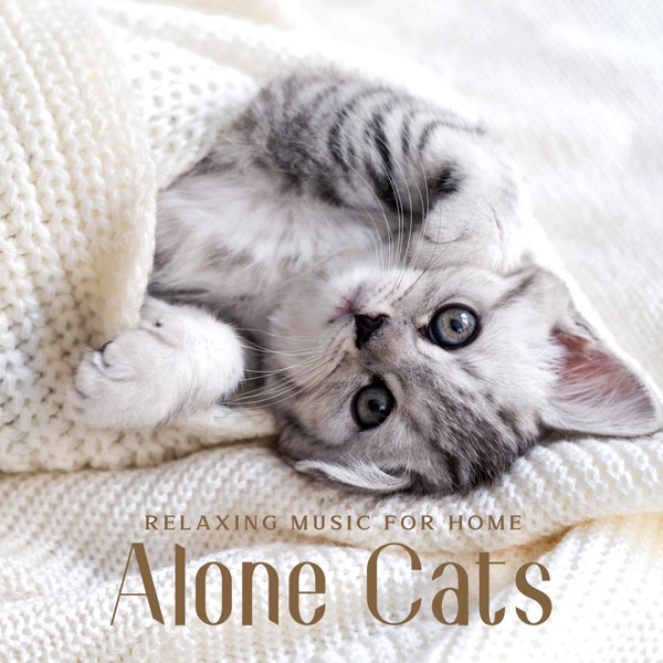 Relaxing Music for Home Alone Cats