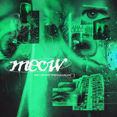 Meow - Single