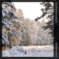 Winter Woods - Single - Calenaur