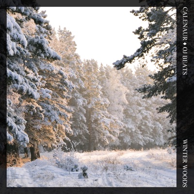 Winter Woods - Single