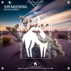 Awakening - Single