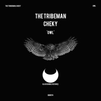Owl (Remixes) - Single - The Tribeman & Cheky