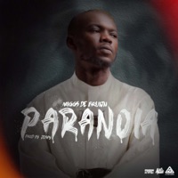 Paranoia - Single - Miggs de Bruijn