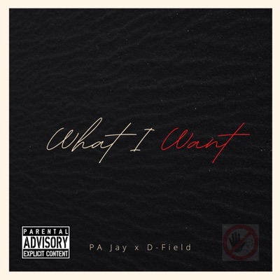 What I Want (feat. PA Jay) - Single
