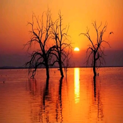 Can We Go Back - Single