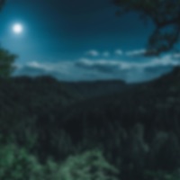 Dynasty - Single - Spectrum Sou11ds