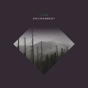 Environment - EP