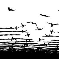 Ideas of Collective Liberation - Single - World is Our Country & Scott Crow