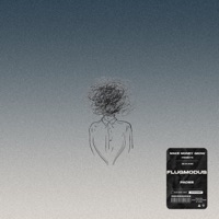 FLUGMODUS - Single - PADEE