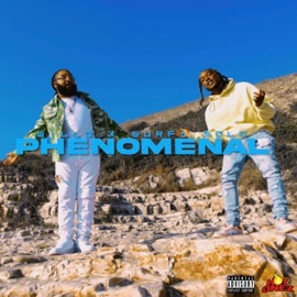 Phenomenal (feat. Surfa Solo) Willo