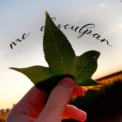 Me Desculpar - Single