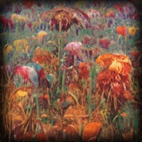 SO SO (feat. 3readroll & tennis player) - Single - Late Night Gatherings