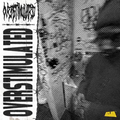 Overstimulated ! - Single