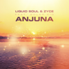 Anjuna (feat. Solar Kid) [Radio Edit] - Liquid Soul & Zyce