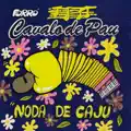 Noda de Caju