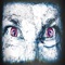 Shimmy Shimmy (feat. Chimiwadechanga & Semi-lay) - Nue lyrics