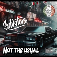Not the Usual (feat. John Solinas) - Single - Salvatore
