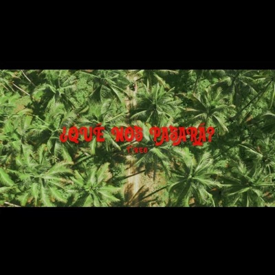 ¿Qué nos pasará? - Single