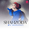 Shakhzoda, Dee Jay Dan & DJ Smash - Между Небом И Землей (Chill mix) artwork