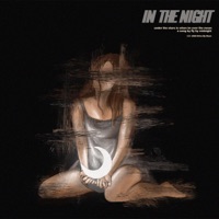 In the Night - EP - Fly By Midnight