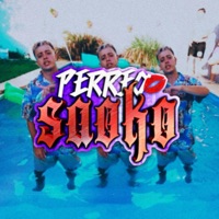 Perreo Saoko (feat. El Shura) - Single - Saile