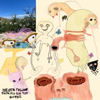 Album cover for Wisp by Layne Gray