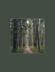 Luister naar Torture Sermon, bekijk muziekvideo's, lees de bio, bekijk de tourdata, en meer!