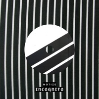 Incognito - Single - Notize