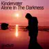 Alone In the Darkness album cover