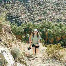 noaを聴いたり、ミュージックビデオを鑑賞したり、経歴やツアー日程などを確認したりしましょう！