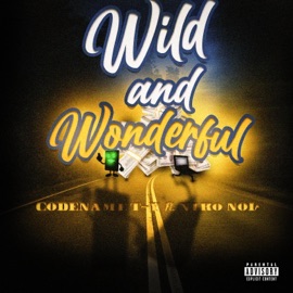 Wild & Wonderful (feat. Niko Noir) Codename TY