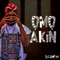 Ọmọ Akin - Egbon lyrics