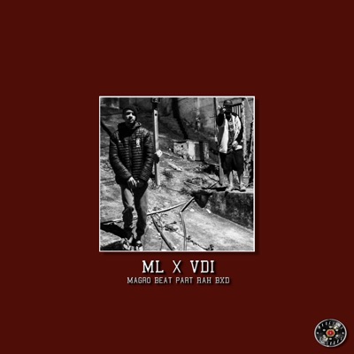 Ml X Vdi - Single