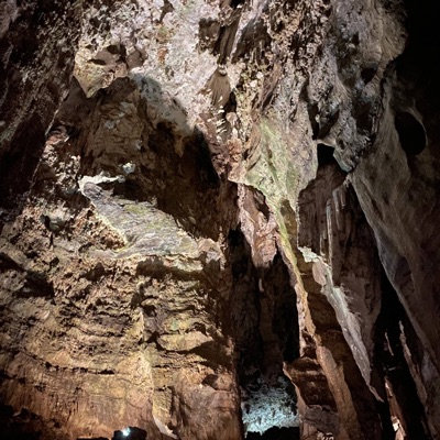 SEE the LIGHT (feat. Bxttybylona) - Single