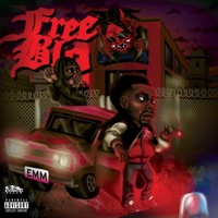 Free Hood - Big Emm
