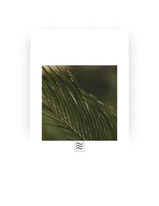 Dengarkan М’які шуми дощу, tonton video musik, baca bio, lihat tanggal tur & lainnya!