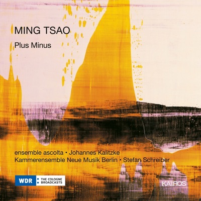 Ming Tsao: Plus Minus