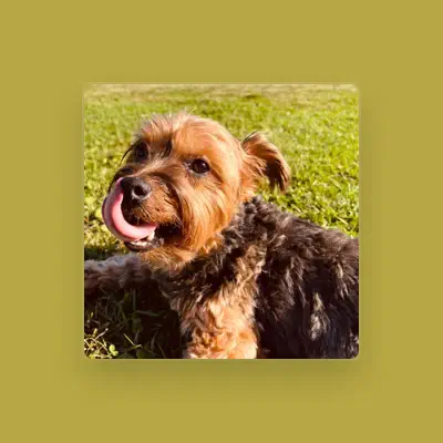Listen to Calming Canines, watch music videos, read bio, see tour dates & more!