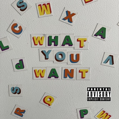What You Want - Single