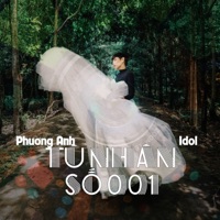Tù Nhân Số 001 (feat. Havan Trần) - Single - Phương Anh Idol
