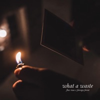 what a waste (feat. Foreign Forest) - Single - Flux