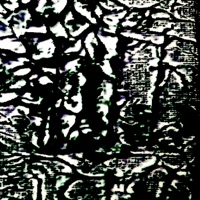 Surface - Single - erl