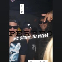 PERREO ME SIGUE TU NENA - Single - romancitodj