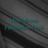 Monodrone - Somewhere Dark